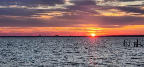 Double Suite with Two Double Beds - Non Smoking