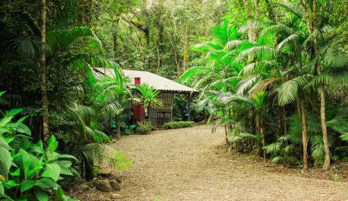 Double Room with Garden View