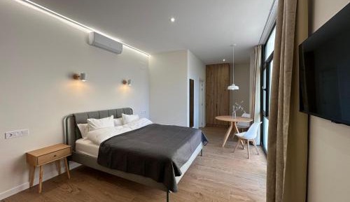 Studio Apartment with King Bed