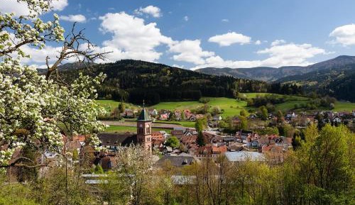 Superior One-Bedroom Apartment