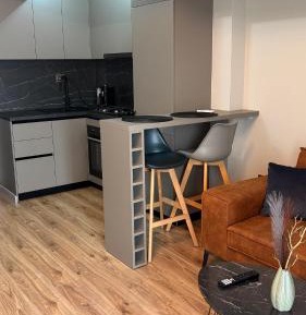 Deluxe One-Bedroom Apartment