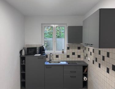 Deluxe One-Bedroom Apartment