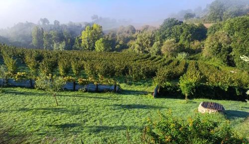Two-Bedroom Deluxe Apartment