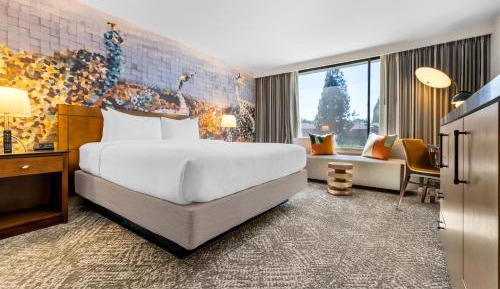 Standard King Room - Communications/Mobililty Accessible