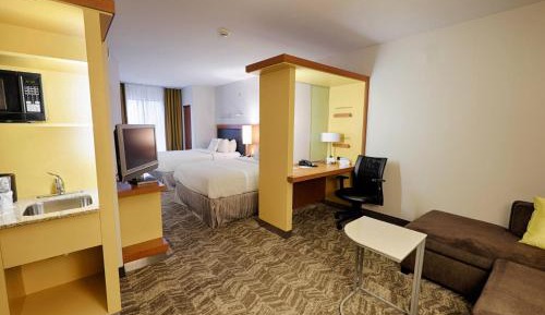 One-Bedroom Queen Suite with Sofa Bed