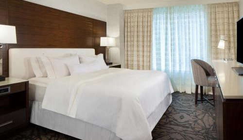 Traditional, 1 King Bed