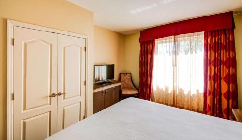 One-Bedroom King Suite with Parlor 