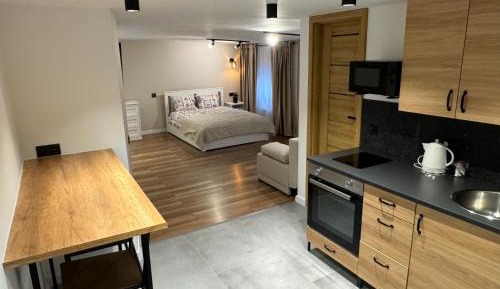 One-Bedroom Premium Apartment