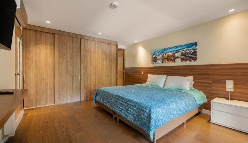 Deluxe One-Bedroom Apartment