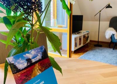 Duplex Apartment