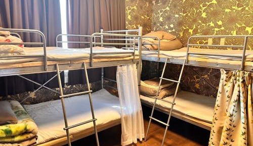 Bunk Bed in Mixed Dormitory Room