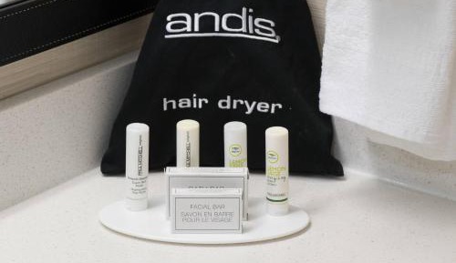 King Studio with Sofa Bed