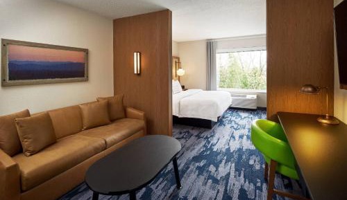 Suite, 1 King, Sofa bed