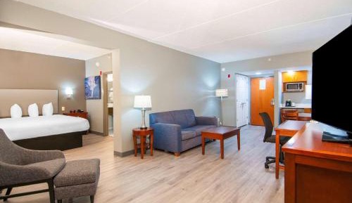 One-Bedroom King Suite - Non-Smoking