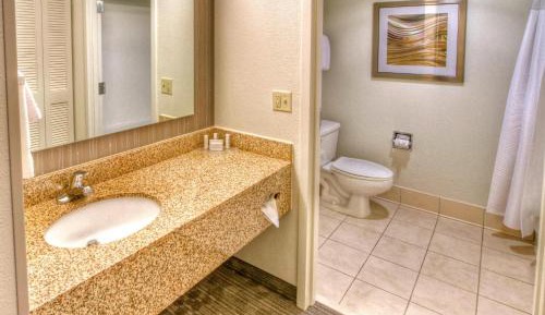 Large One-Bedroom Suite