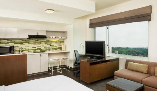 Studio, 1 King, Sofa bed