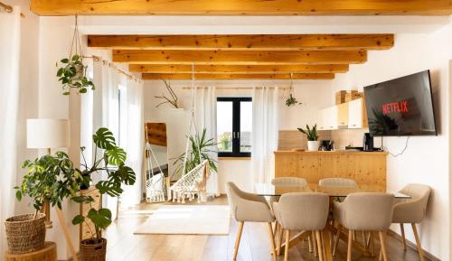 Apartment with Mountain View