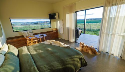 Studio - Disability Access