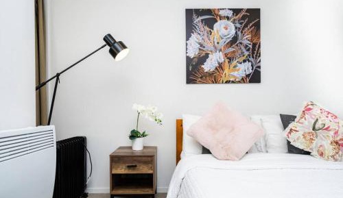 Deluxe One-Bedroom Apartment