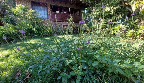Junior Suite with Mountain View