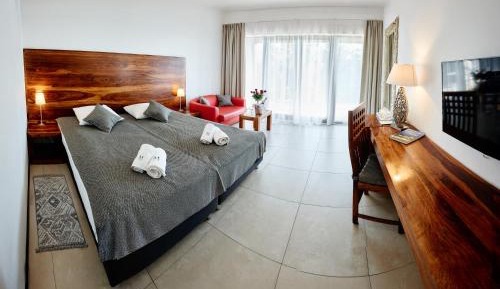 Double or Twin Room with Lake View