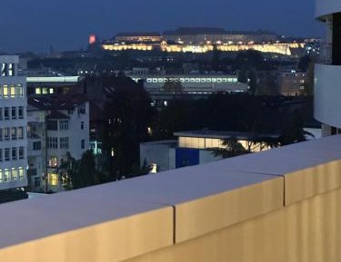 One-Bedroom Apartment with City View