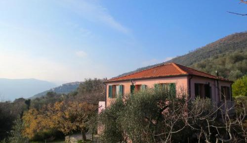 One-Bedroom Apartment with Garden View - Separate Building 