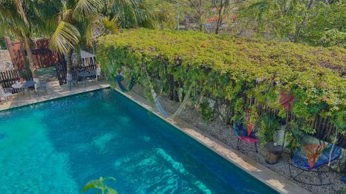 Queen Room with Pool View