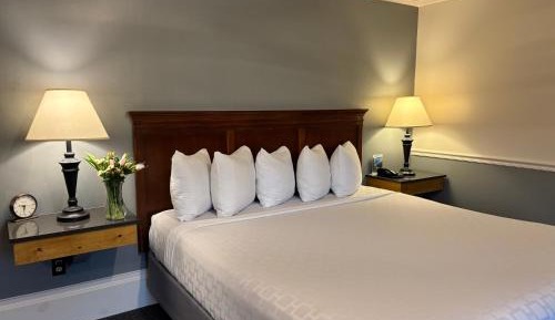 Standard King Room