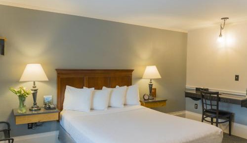Standard Queen Room