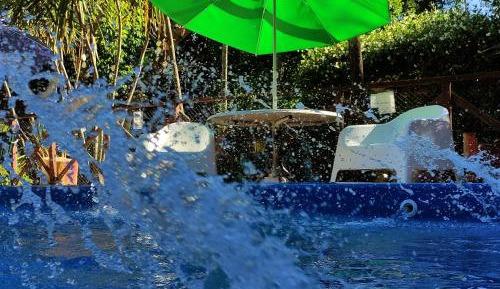 Studio with Garden View