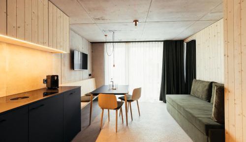 Deluxe One-Bedroom Apartment