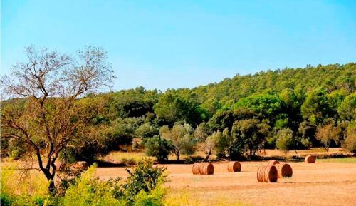 Superior Double Room (2 Adults)