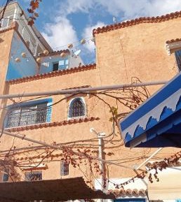 Double Room with Terrace