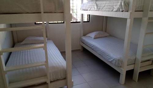 Bed in 4-Bed Male Dormitory Room