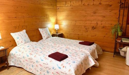 Deluxe Double or Twin Room with Mountain View