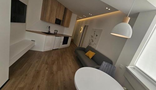 Deluxe One-Bedroom Apartment