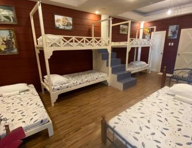 6-Bed Mixed Dormitory Room
