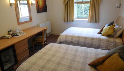 Superior Twin Room with Garden View