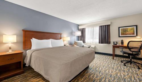 King Room with Roll-In Shower  - Disability Access/Non-Smoking