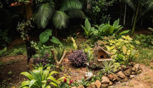 Deluxe Bungalow with Garden View