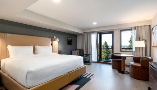 Double Room with Mountain View