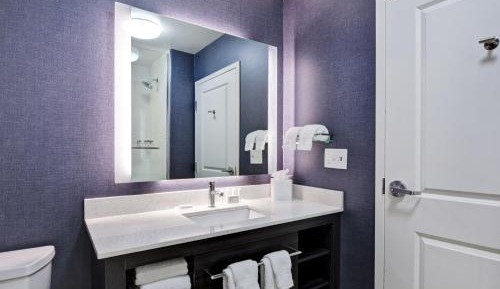 1 Bedroom Suite, 1 King