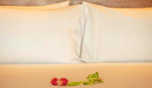 Special Offer - Twin Room with inside view