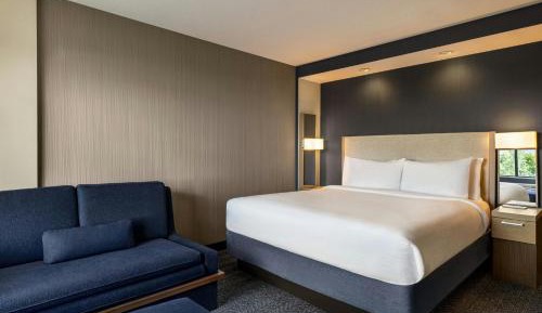 King Room with Sofa Bed and Roll-in Shower - Mobility and Hearing Accessible