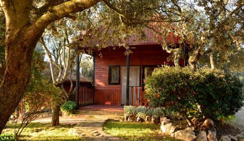 Family Bungalow
