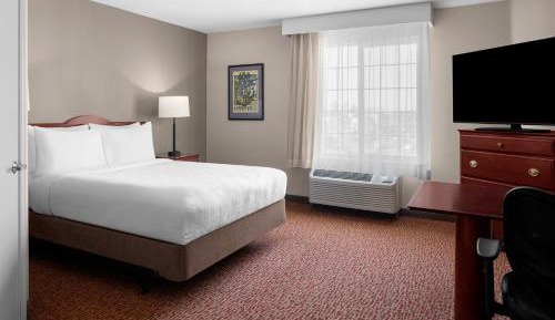 Studio Suite with Queen Bed
