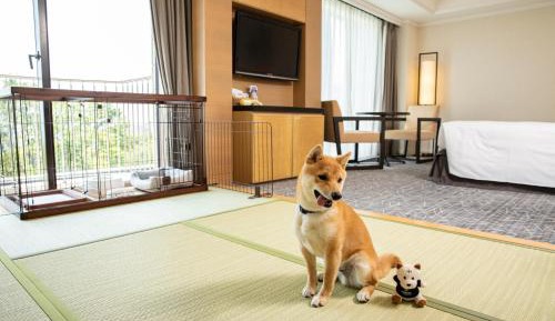 Double Room - Dog Friendly