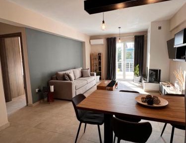 Deluxe One-Bedroom Apartment