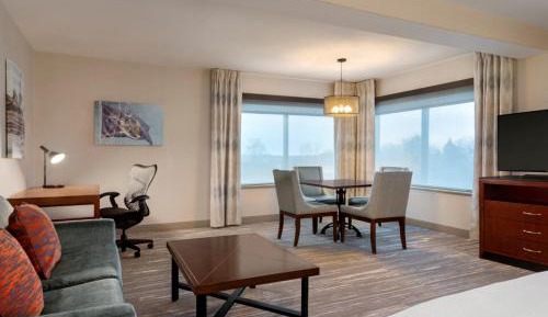 Junior King Suite with Sofa Bed